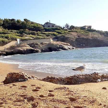 T3 Climatise Avec Jardin, Parking Prive, A 400M De La Plage Et Commerces - Fr-1-316-230 Six-Fours-les-Plages Eksteriør bilde