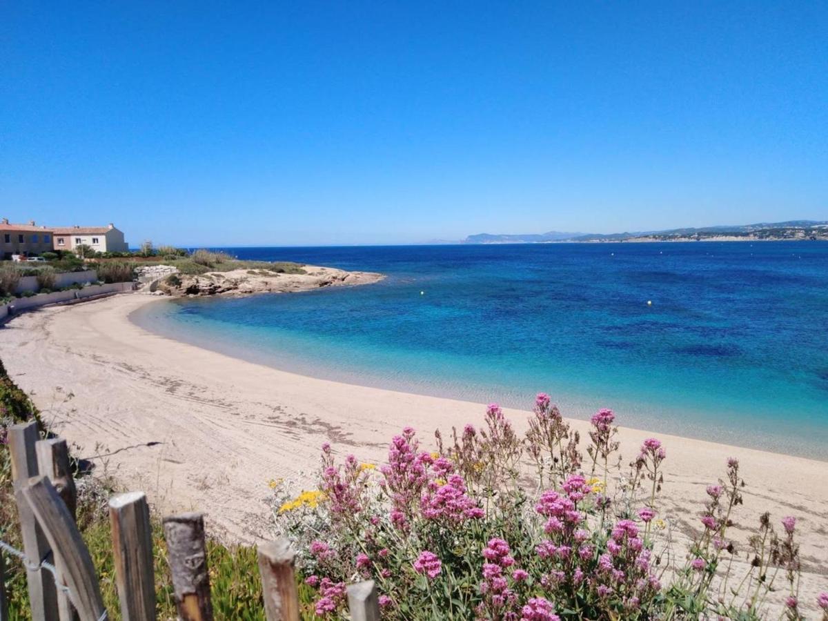 T3 Climatise Avec Jardin, Parking Prive, A 400M De La Plage Et Commerces - Fr-1-316-230 Six-Fours-les-Plages Eksteriør bilde