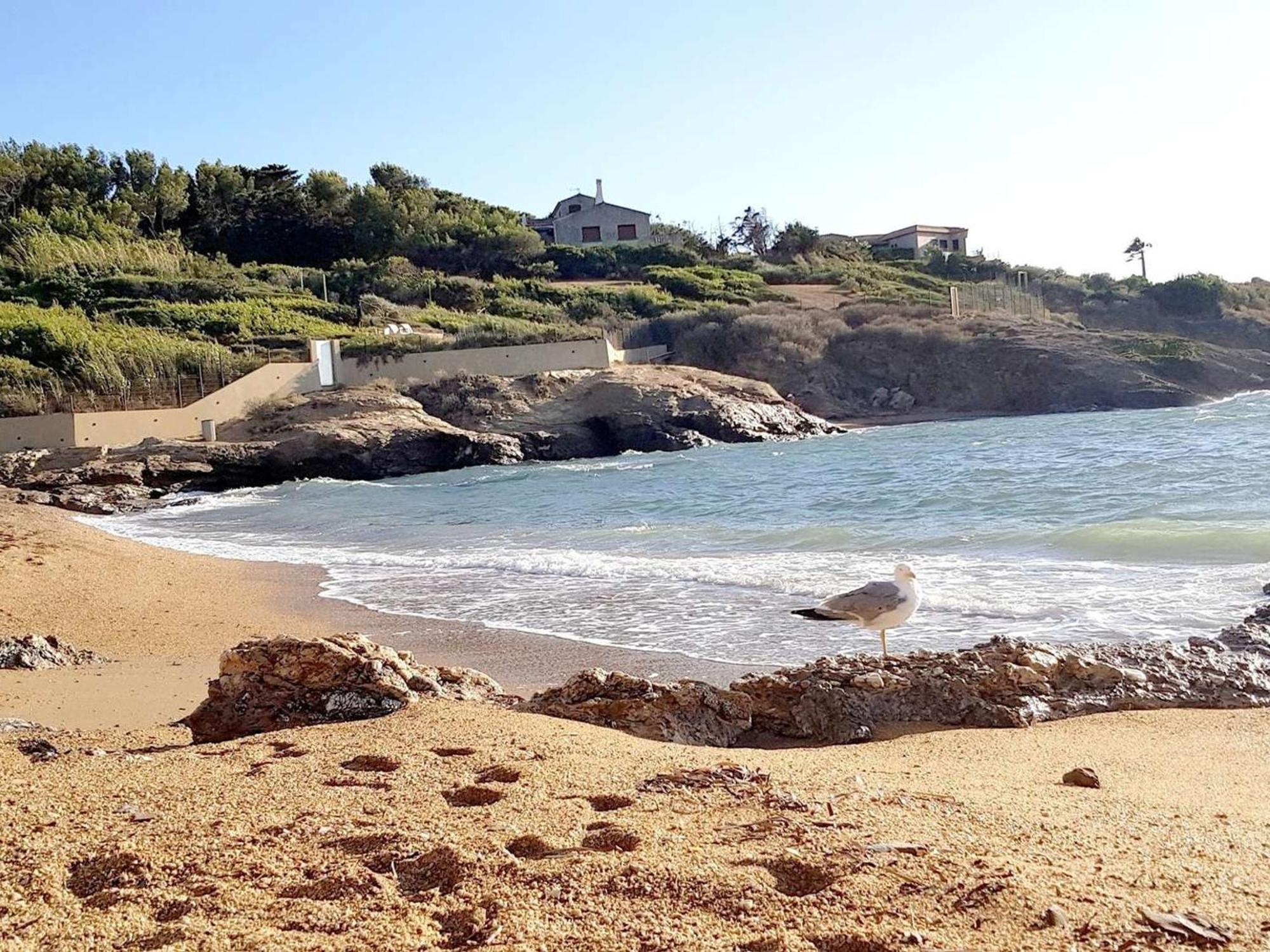 T3 Climatise Avec Jardin, Parking Prive, A 400M De La Plage Et Commerces - Fr-1-316-230 Six-Fours-les-Plages Eksteriør bilde
